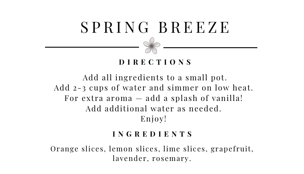 Spring Breeze Simmer Pot Kit