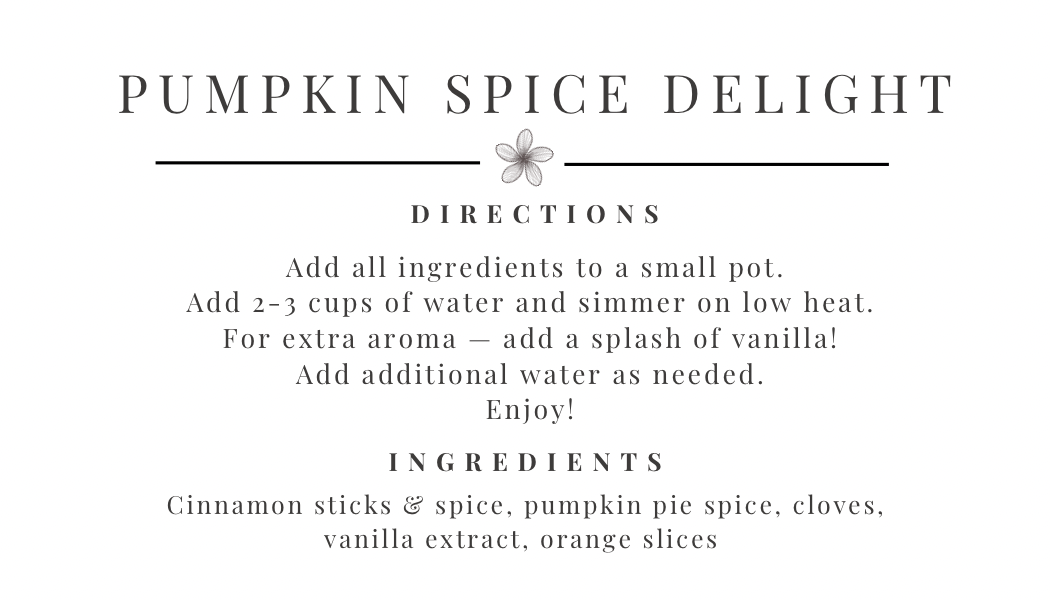 Pumpkin Spice Delight Simmer Pot Kit