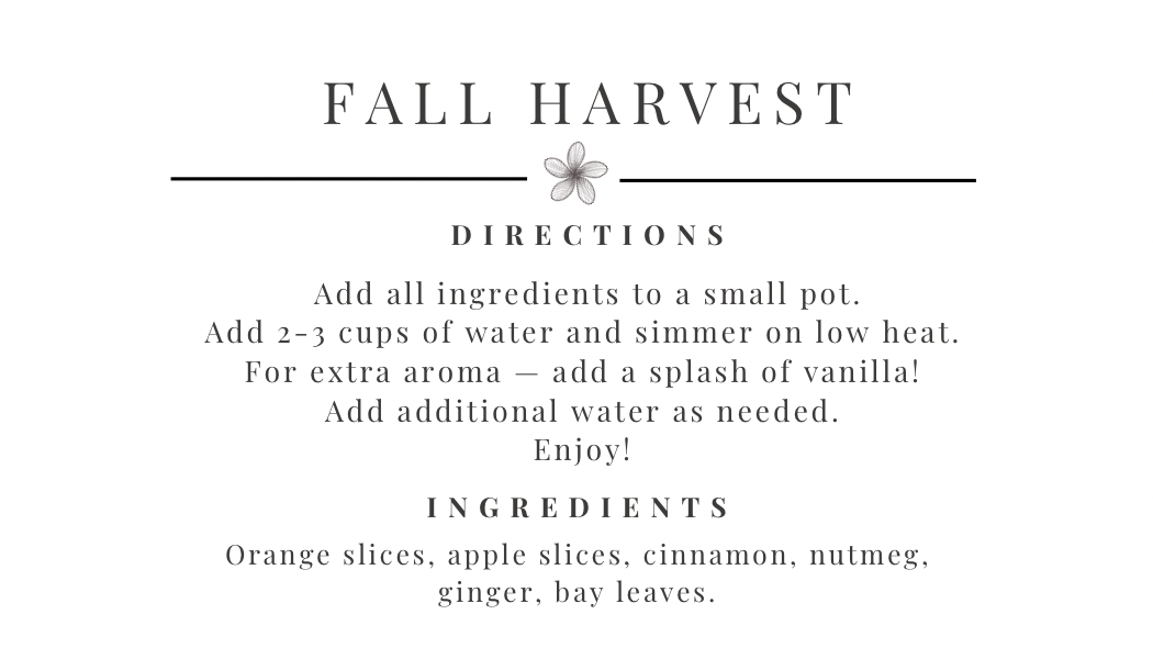 Fall Harvest Simmer Pot Kit