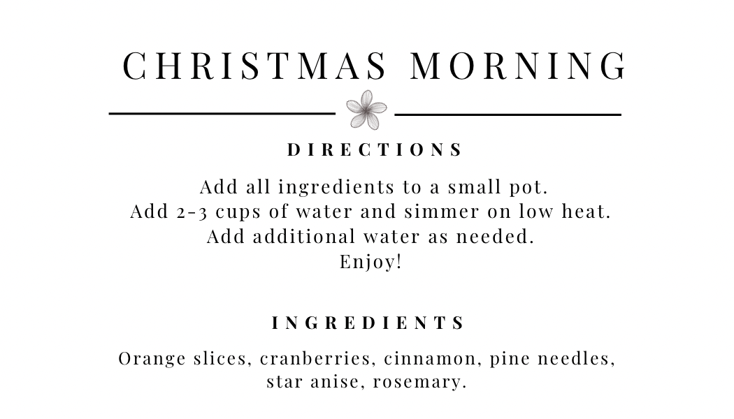 Christmas Morning Simmer Pot Kit