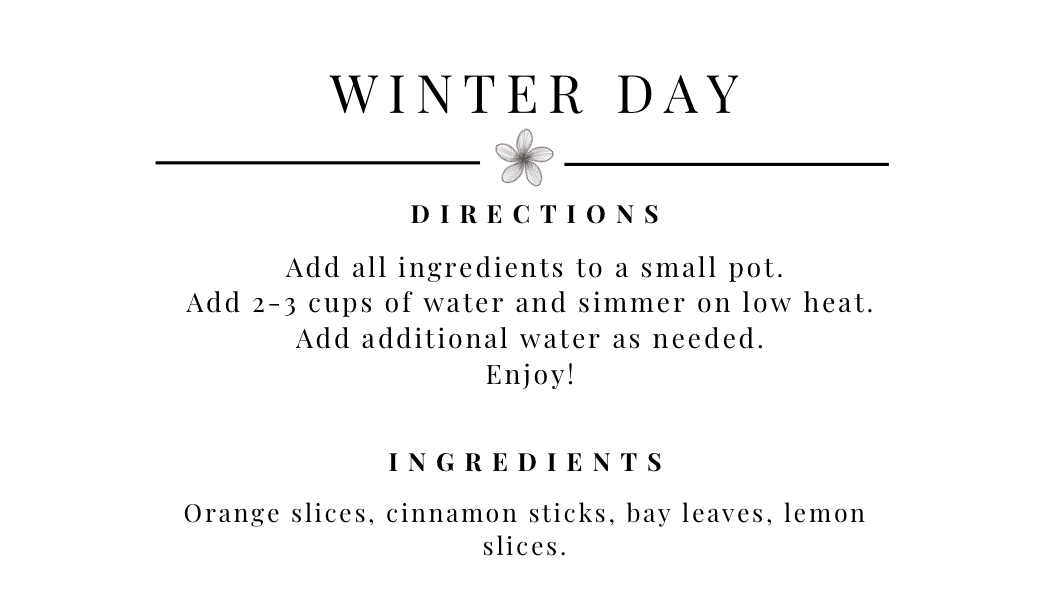 Winter Day Simmer Pot Kit