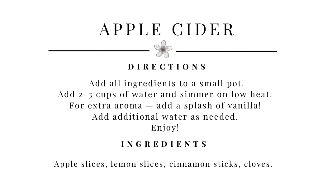 Apple Cider Simmer Pot Kit