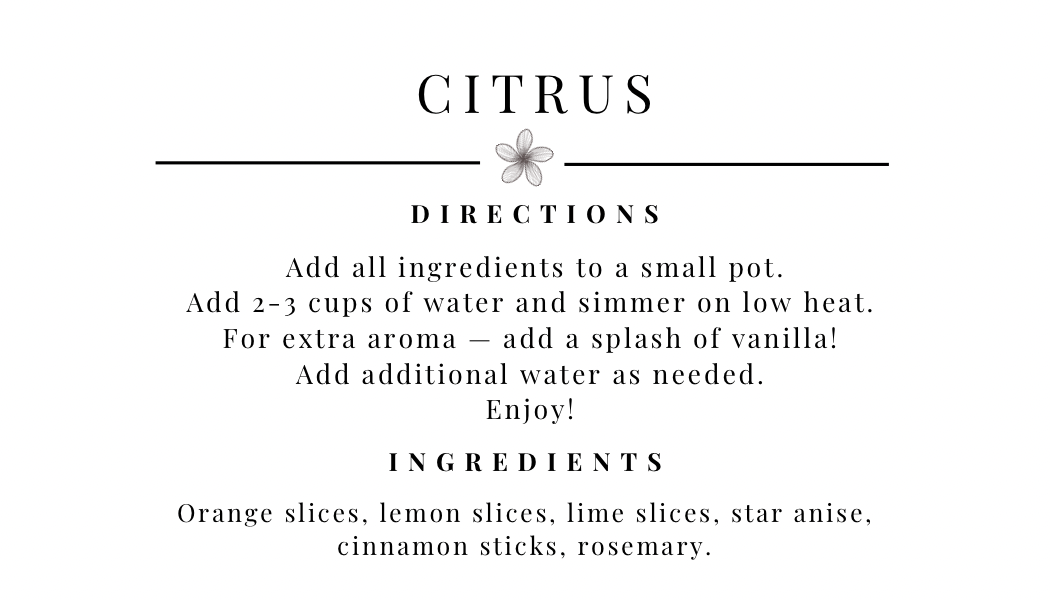 Citrus Simmer Pot Kit